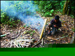Soup cooking in bamboo
