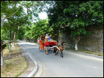 Buggy transport inside the Citadel
