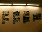 Effects of Agent Orange, War Remnants Museum