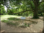 Mass grave site