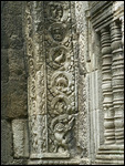 Ta Phrom - startling images (stegasaurus?)