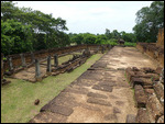 East Mebon - one of eight elephants at the corner