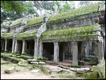 Ta Phrom - roots running on the ground