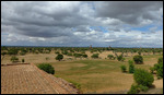 Bagan plain view