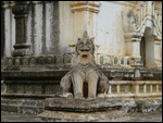 Lion with multiple bodies and single head