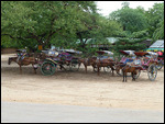 Horse cart station