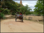 Driven around by Susu, our horse 