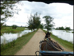 Horsecart tour of Innwa