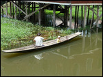 Never too early to learn to row