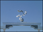 Closer look at the pelicans on the gate