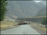 Traffic Jam enroute from Dushanbe to Karamyk