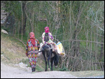 Life in the Fan Mountains