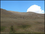 Susamyr Valley