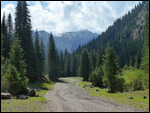 On the trail
