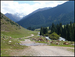 Meadow with mountain backdrop