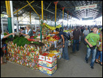Checking out fruits at Shymkent bazaar