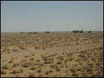View of the Kyzylkum desert enroute to Urgench