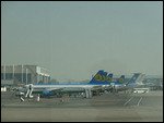Uzbekistan Airlines planes at Tashkent airport