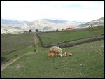 Countryside around Lahic