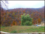 Colors in full display at Haghartsin
