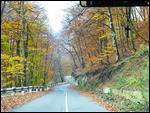 Peak autumn colors at Dilijan