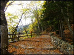 Path descending from Sumela