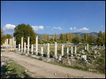 Columns of the North Agora