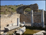 The Public Latrine