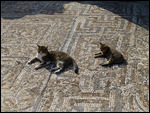 Surviving mosaics from Byzantine residences