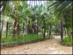 Parque de María Luisa