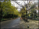 Parque de María Luisa