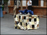 Seville West street entertainment