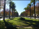 Boulevard in Ville Novelle