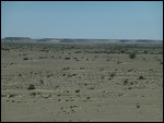 Did we say that it was a desert?