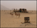 Ben Amera village scene