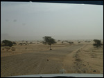 Driving through the desert