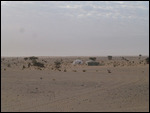 Landscape between Ben Amera and Choum