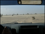 Windy day in the desert