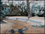 Auberge in the middle of the oasis
