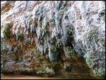Water dripping of the cliffside forming stalactite