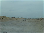 Negotiating rutted tracks on no-man's-land