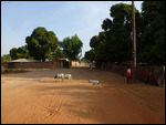 Tanji street in the evening