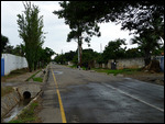 Quiet residential road, Lusaka
