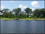 Zambezi River and Elephant