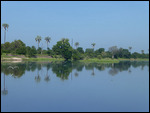 Zambezi River