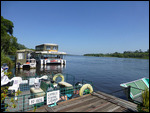 Zambezi river cruise