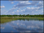 Heading back to Maun