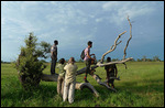 Scouting the area for animals and birds