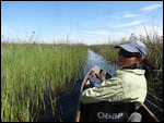 The view from close to water level