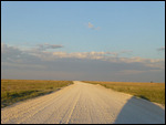 Etosha National Park road